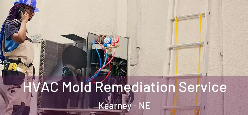  HVAC Mold Remediation Service Kearney - NE