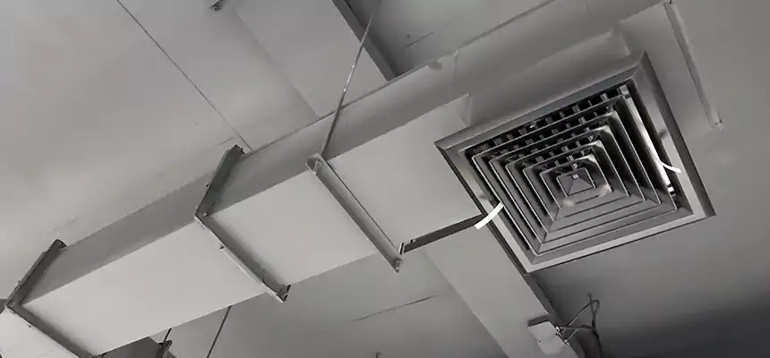 Our Rodent Droppings In Vents Services in Kearney, NE