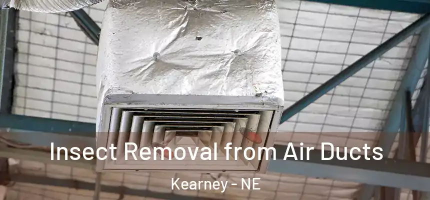  Insect Removal from Air Ducts Kearney - NE