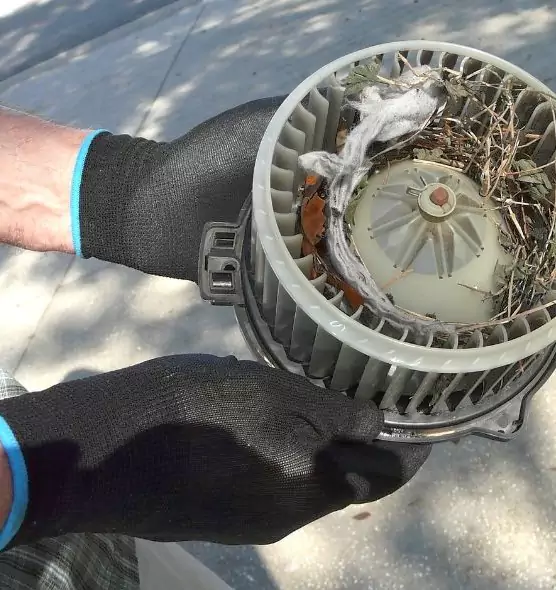 About Air Duct Rat Removal in Kearney, NE