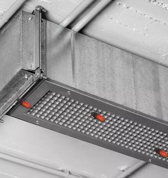 Affordable Insect Removal from Air Ducts in Kearney, NE