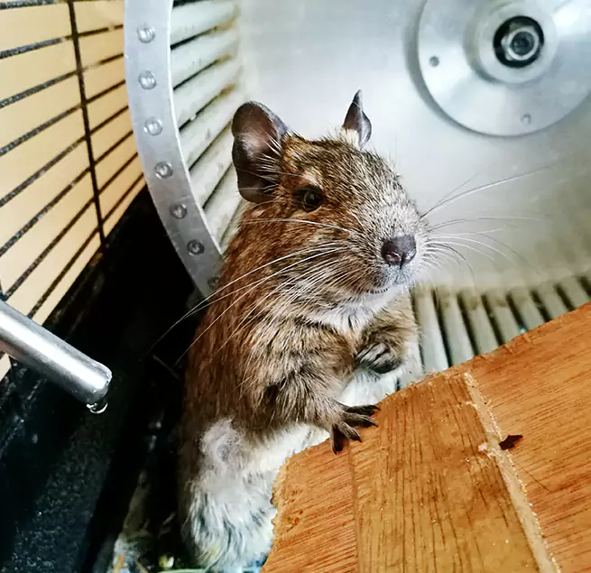 Why Homeowners & Businesses Trust Us Kearney, NE?